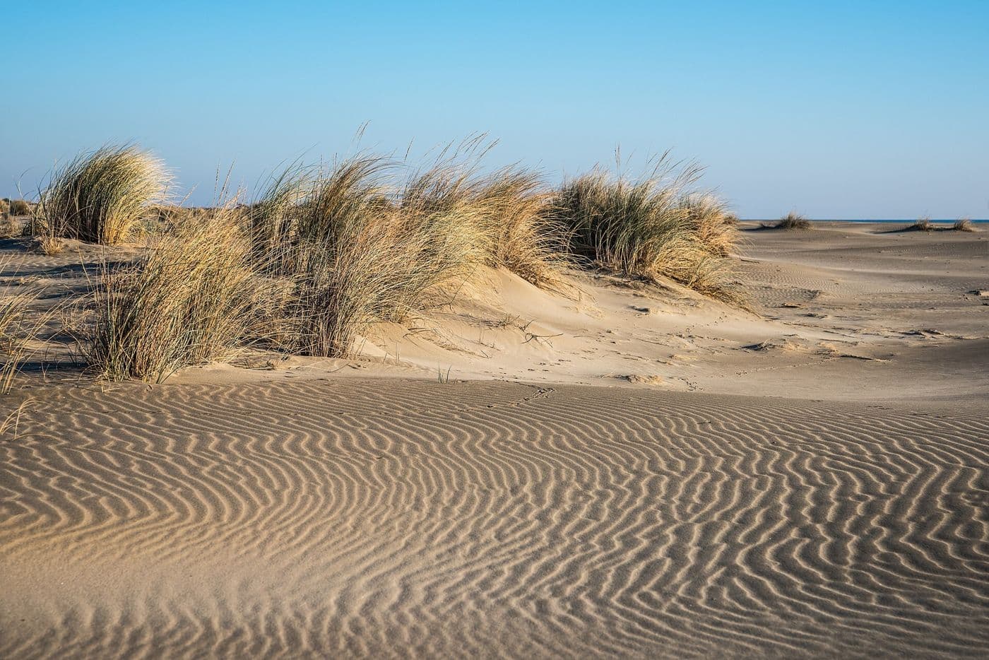 La Camargue et l'Espiguette