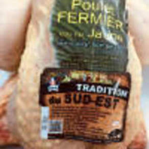 Poulet fermier du sud-ouest